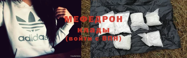 ПСИЛОЦИБИНОВЫЕ ГРИБЫ Осинники