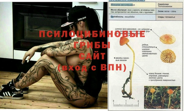 соль курить ск Абинск