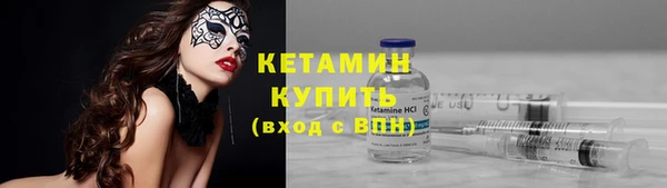 ПСИЛОЦИБИНОВЫЕ ГРИБЫ Осинники