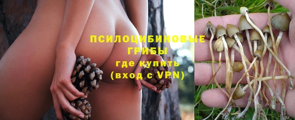 ПСИЛОЦИБИНОВЫЕ ГРИБЫ Осинники