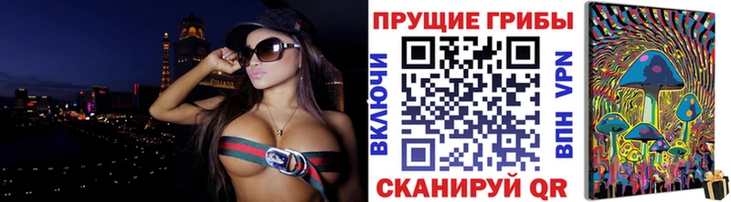 магазин  наркотиков  blacksprut   Галлюциногенные грибы Psilocybe  Назрань 