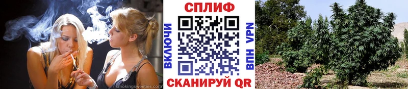 omg Назрань Конопля VHQ